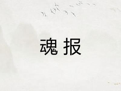 魂报 魂报