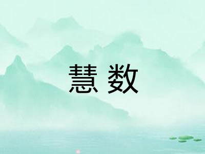 慧数 慧数