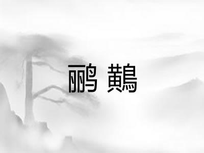 鹂鷬