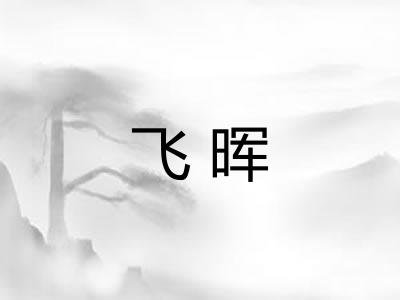 飞晖