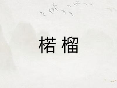 楉榴