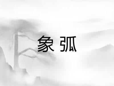 象弧