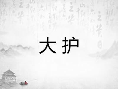大护