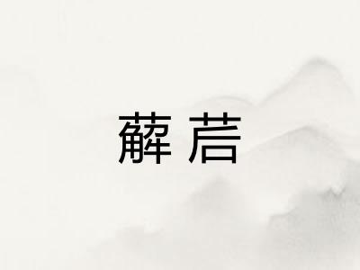 薢茩