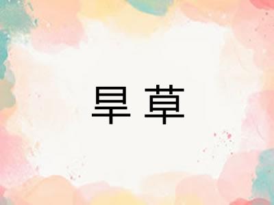 旱草 旱草