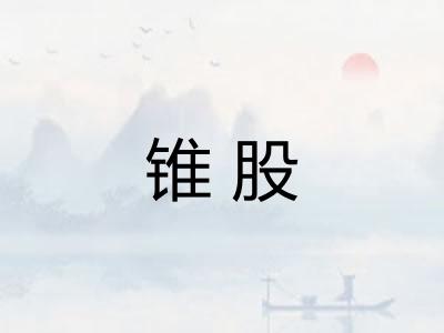 锥股 锥股