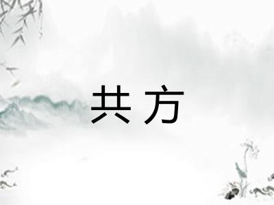 共方
