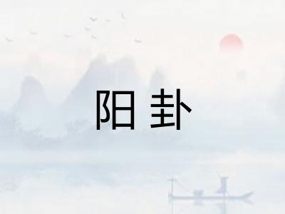 阳卦