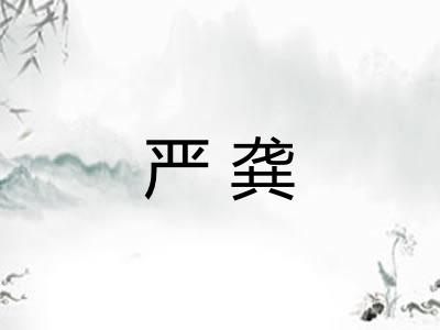 严龚