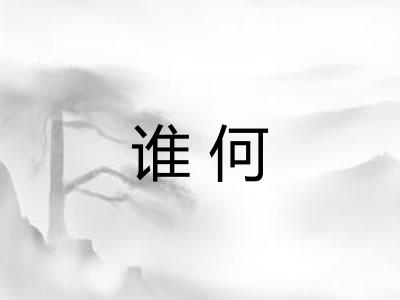 谁何