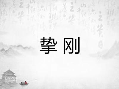 挚刚 挚刚