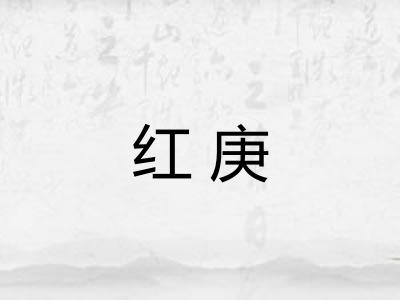 红庚