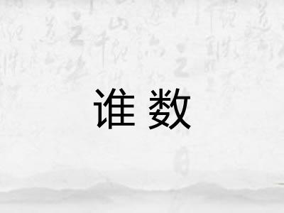 谁数