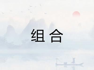 组合 组合