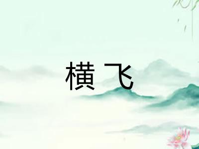横飞