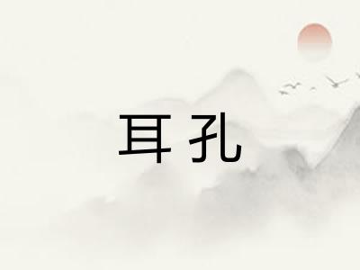 耳孔