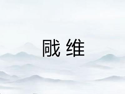 戙维 戙维