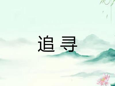 追寻