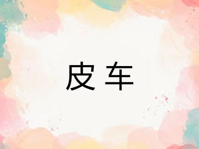 皮车 皮车