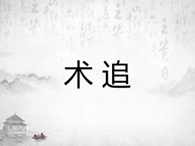 术追