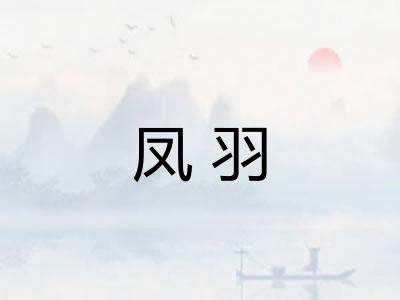 凤羽