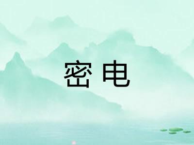 密电 密电