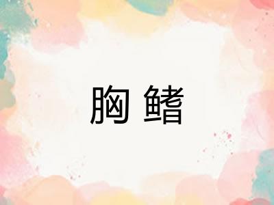 胸鳍
