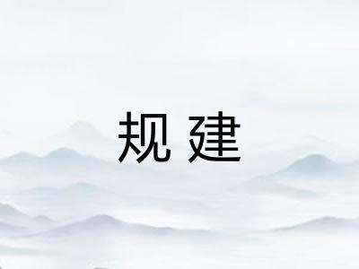 规建