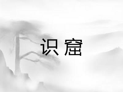 识窟