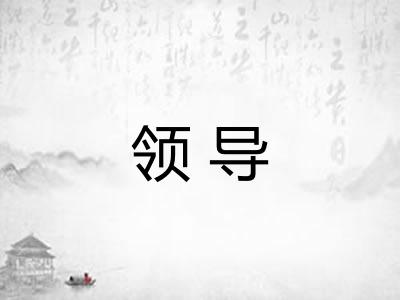 领导