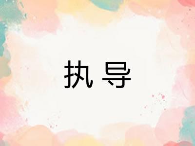 执导 执导