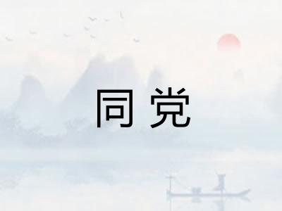 同党
