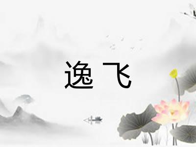 逸飞 逸飞