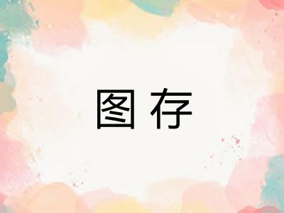 图存