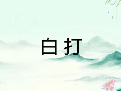 白打