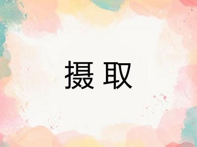 摄取 摄取
