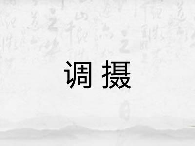 调摄 调摄