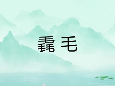 毳毛 毳毛