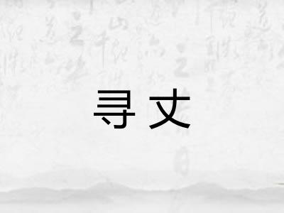 寻丈