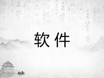 软件