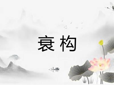 衰构 衰构