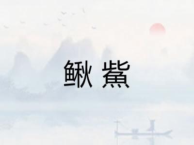 鳅鮆 鳅鮆