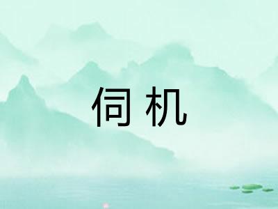 伺机 伺机