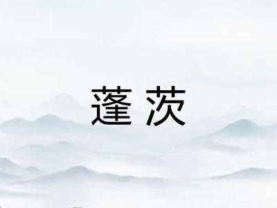 蓬茨