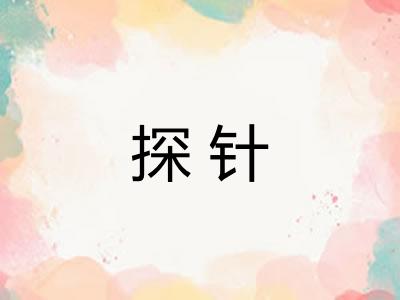探针 探针