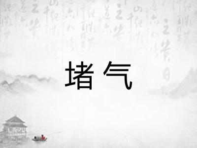 堵气