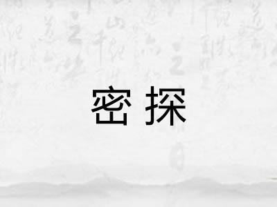 密探 密探