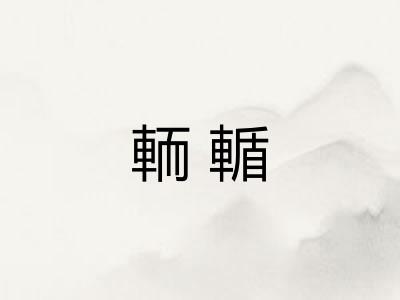輀輴