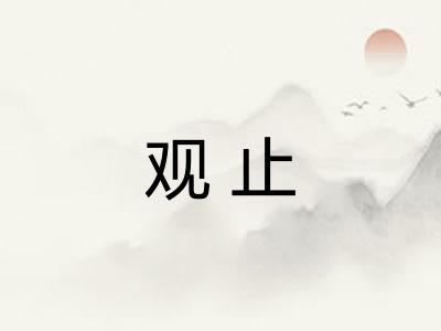 观止