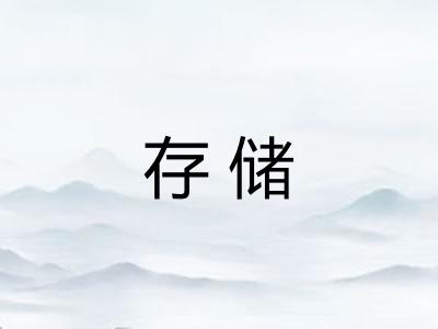 存储